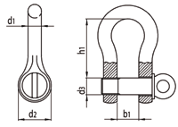 Standard shackle with eye bolt