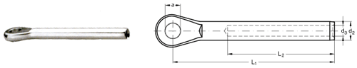 ASS Eye terminal, Maxi type